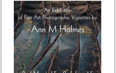 Exhibition by landscape Photographer Ann Holmes